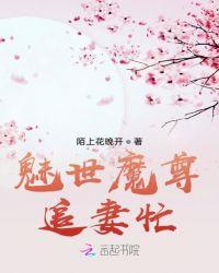 魅世魔凰顶点