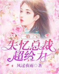 一胎三宝总裁喜当免费阅读