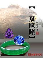 鹰瞳介绍