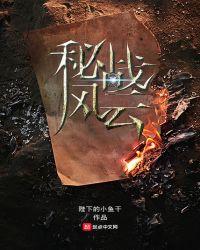 秘战风云免费高清在线播放