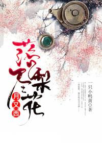 落尽梨花月又西楚月恒