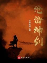 沧海神剑境界