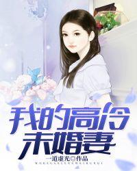 我的高冷未婚妻许木师父叶无尘