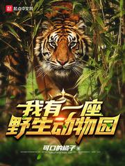 我有一座野生动物园txt百度