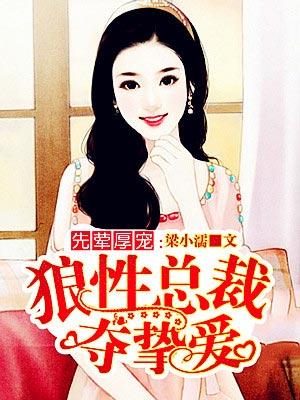 狼性总裁夜