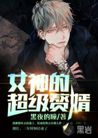 超级赘婿多少章