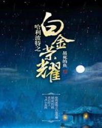 哈利波特之白金荣耀卡夜
