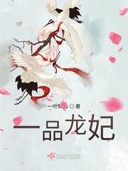一品龙妃百科