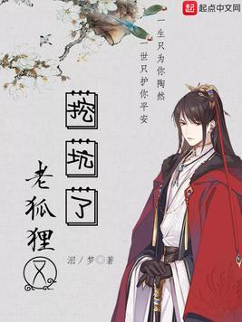 老狐狸意思