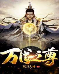 万道之尊等级