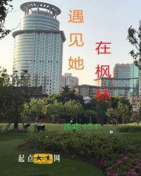 枫林渡遇见杨过