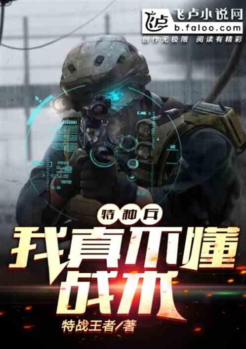 我真不懂战术飞卢