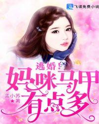 逃婚妈咪拐到手风款款原文阅读