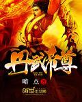 丹武帝尊主角杨辰