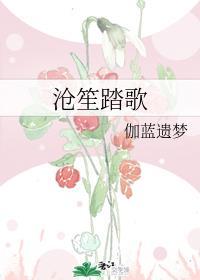 沧笙踏歌科技有限公司