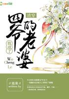清穿后我成了四爷的老婆晋江