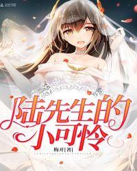陆先生的小可怜免费全文阅续