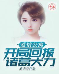 爱情公寓之开局遇到诸葛大力