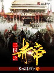 三国之赤色黎明txt