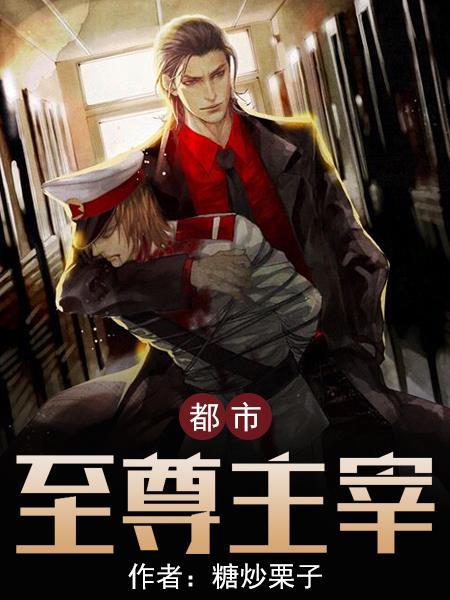 都市至尊主宰奶爸