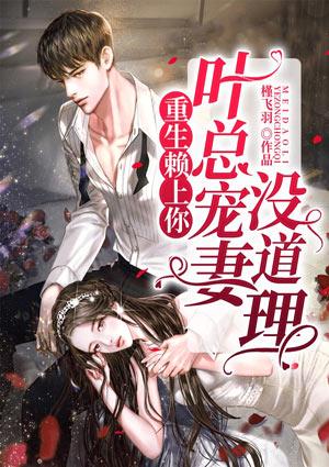 重生赖上你叶总宠妻没道理免费阅读