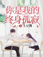 你是我的孤独歌词