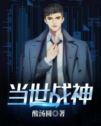 当世战甲