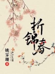 折锦春 姚霁珊讲了什么