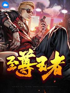 至尊王者有多少人