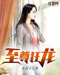 至尊狂龙20集