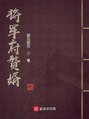 将军府赘婿(全集)