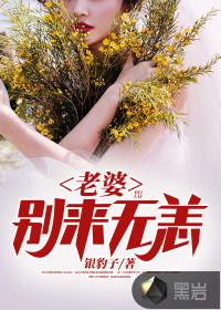 老婆别来无恙萧峥全文阅读免费