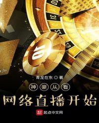 网络直播神豪类