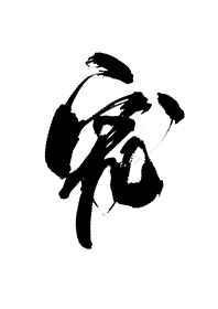 146. 白月光失忆后成了我影卫 作者……