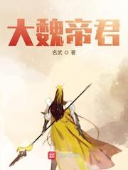 大魏帝都怎么出去