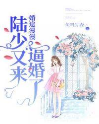陆少又双