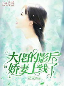 叶轻沈秦宴