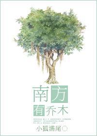 南方有乔木出自哪首诗