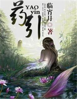 药引子怎么煎