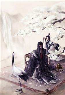 赘婿林夕