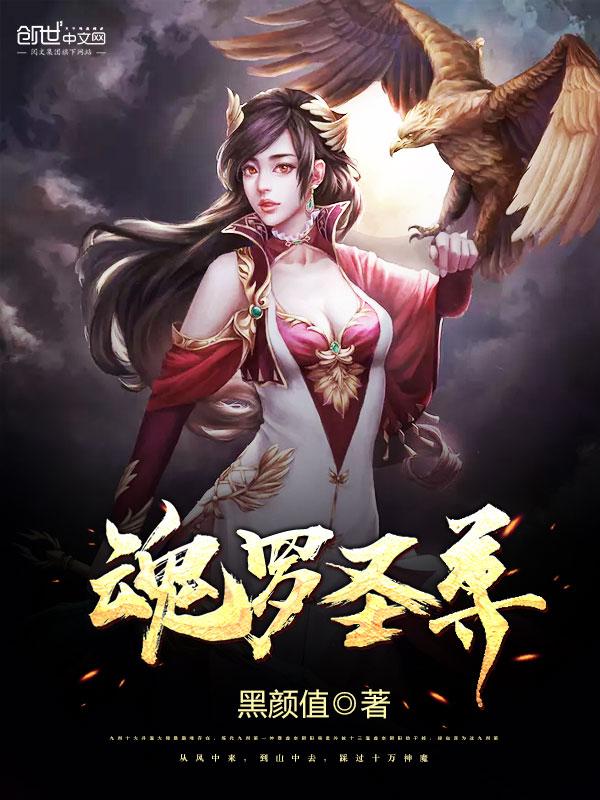魂圣打封号斗罗
