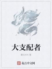 支配者设定