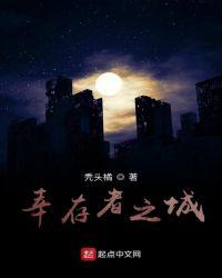 幸存者之城机甲妻子