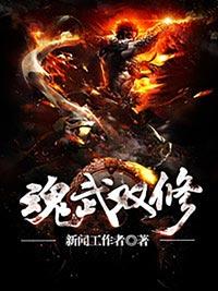 魂武双修坏蛋网