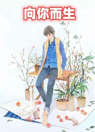 向你而生作者南野琳儿