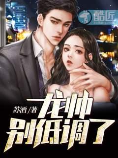 主人公叫龙帅的