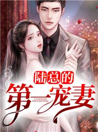 陆总的第一宠妻全集免费观看