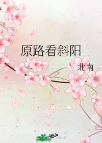 原路看斜阳 北南讲的什么