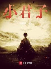 三国小君子
