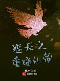 遮天之重瞳诸天飞卢